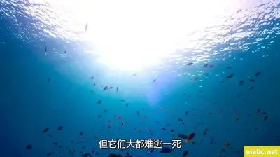 我老公的朋友剧照1
