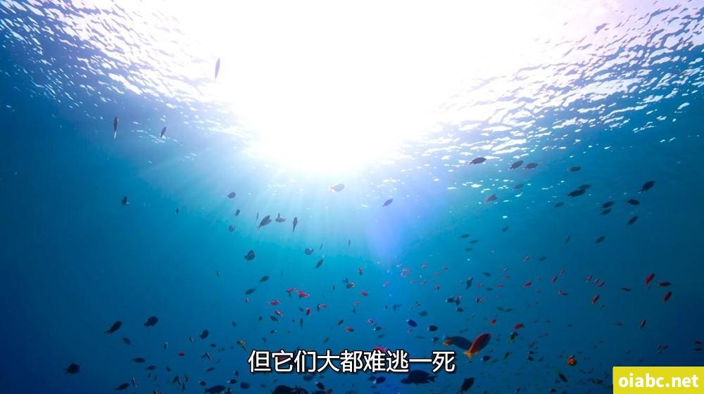 ova催指导剧照2